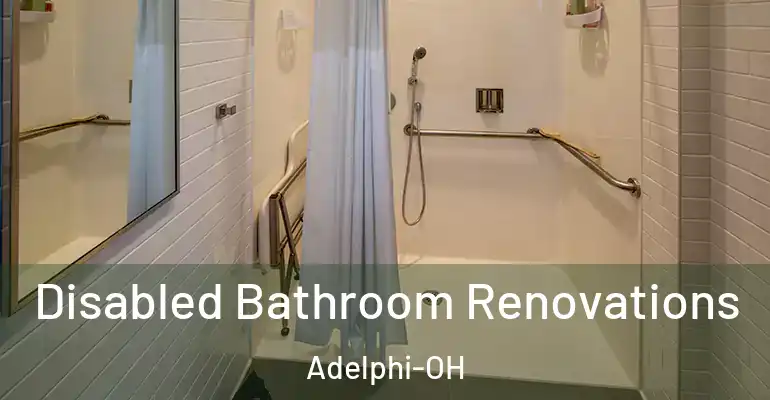 inner Bathroom imggen Disabled Bathroom Renovations Adelphi-OH