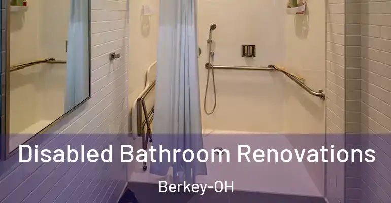 inner Bathroom imggen Disabled Bathroom Renovations Berkey-OH