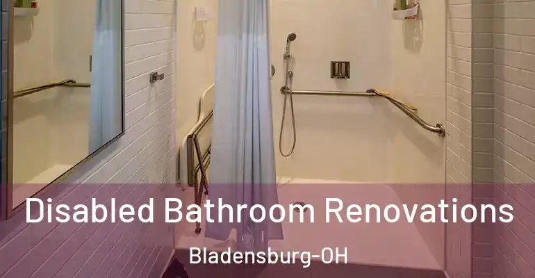 inner Bathroom imggen Disabled Bathroom Renovations Bladensburg-OH