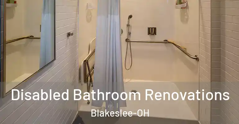 inner Bathroom imggen Disabled Bathroom Renovations Blakeslee-OH
