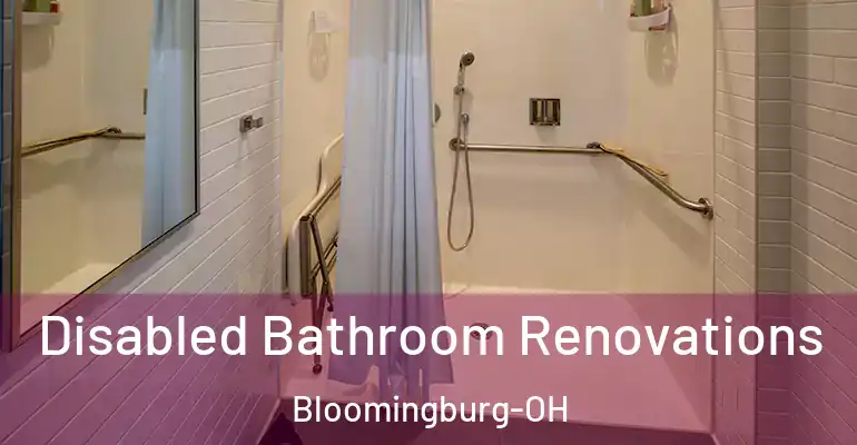 inner Bathroom imggen Disabled Bathroom Renovations Bloomingburg-OH