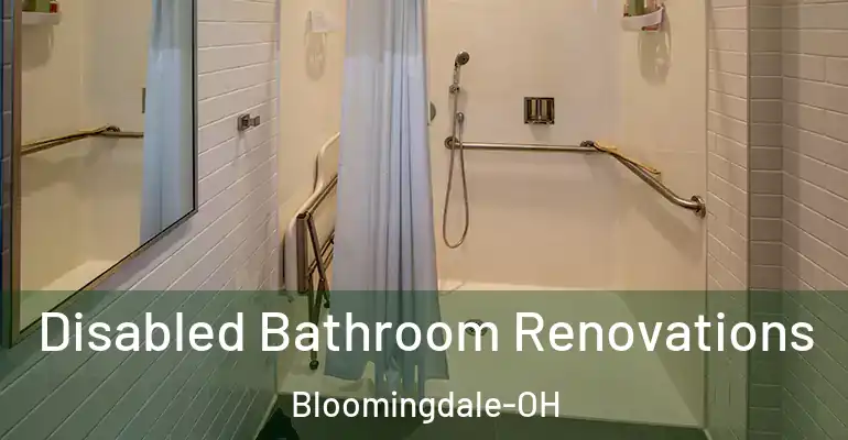 inner Bathroom imggen Disabled Bathroom Renovations Bloomingdale-OH