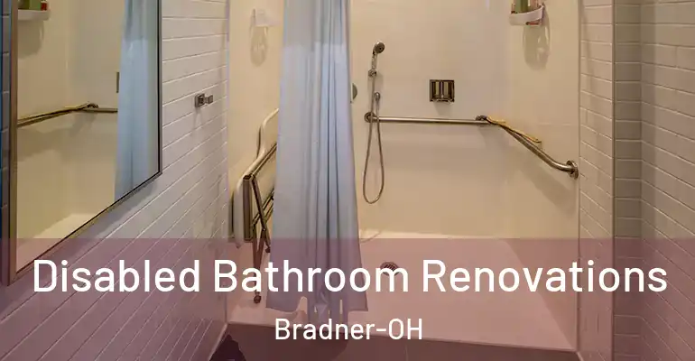 inner Bathroom imggen Disabled Bathroom Renovations Bradner-OH