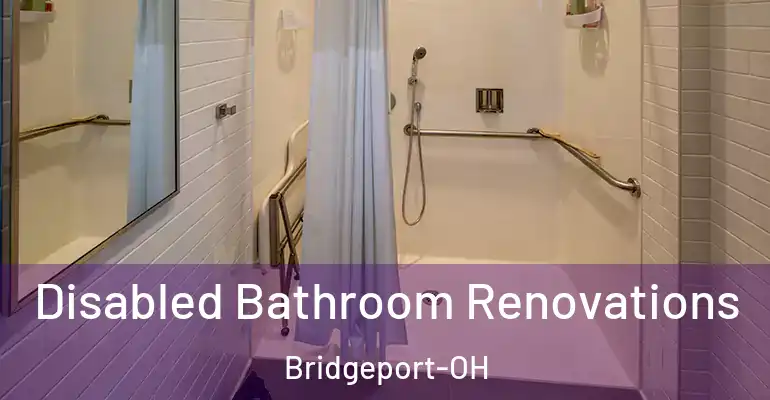 inner Bathroom imggen Disabled Bathroom Renovations Bridgeport-OH