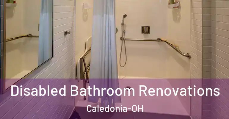 inner Bathroom imggen Disabled Bathroom Renovations Caledonia-OH