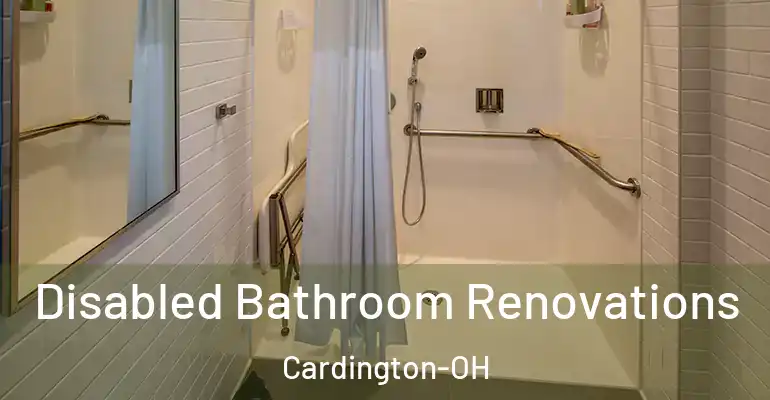 inner Bathroom imggen Disabled Bathroom Renovations Cardington-OH