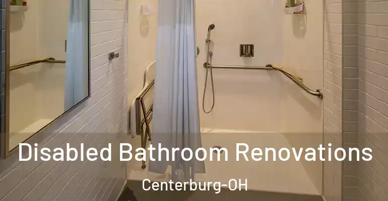 inner Bathroom imggen Disabled Bathroom Renovations Centerburg-OH