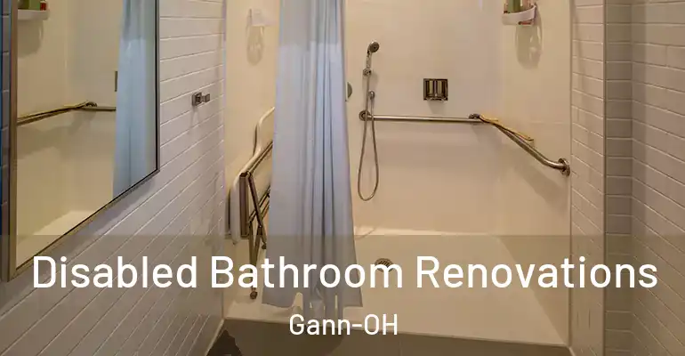 inner Bathroom imggen Disabled Bathroom Renovations Gann-OH