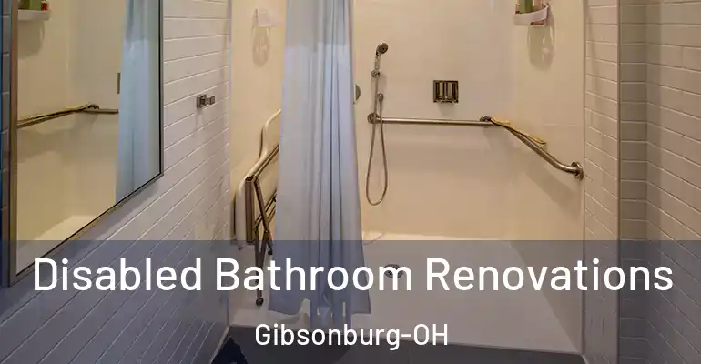 inner Bathroom imggen Disabled Bathroom Renovations Gibsonburg-OH