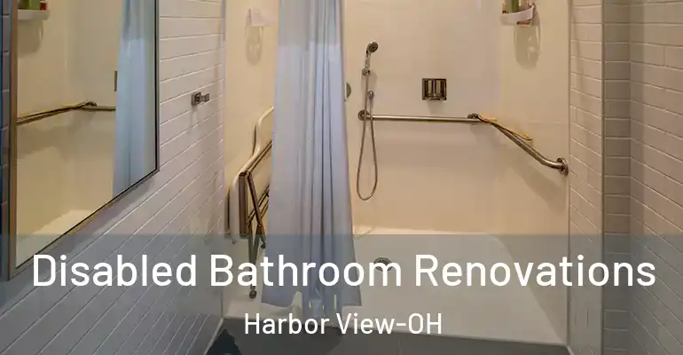 inner Bathroom imggen Disabled Bathroom Renovations Harbor View-OH