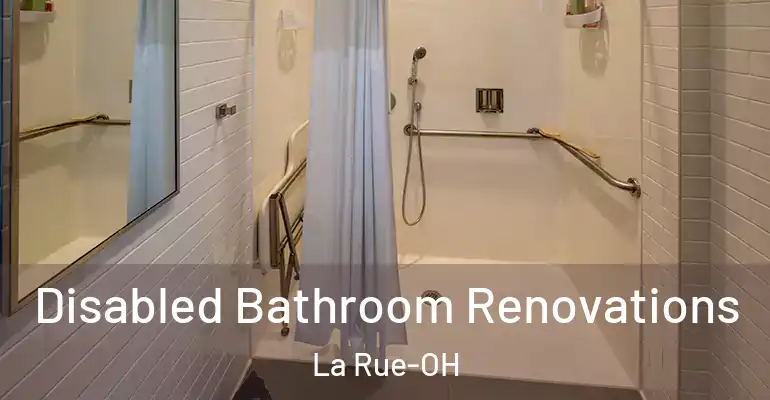 inner Bathroom imggen Disabled Bathroom Renovations La Rue-OH