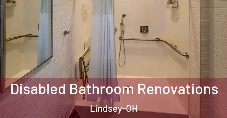 inner Bathroom imggen Disabled Bathroom Renovations Lindsey-OH
