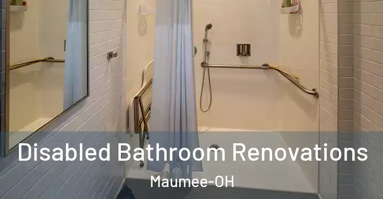 inner Bathroom imggen Disabled Bathroom Renovations Maumee-OH