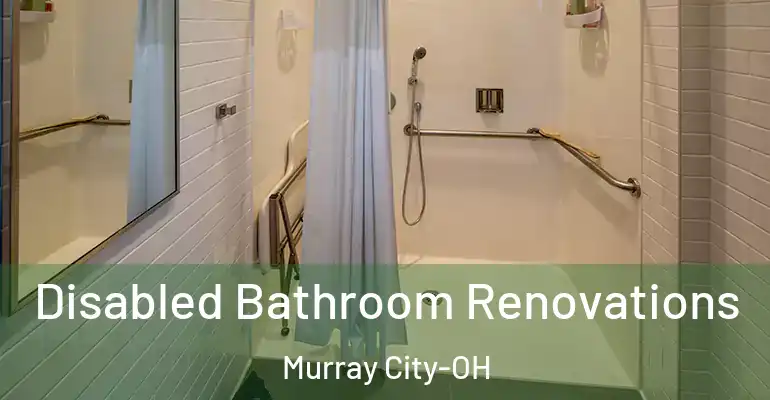 inner Bathroom imggen Disabled Bathroom Renovations Murray City-OH