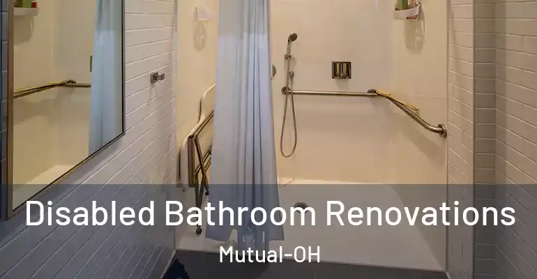 inner Bathroom imggen Disabled Bathroom Renovations Mutual-OH