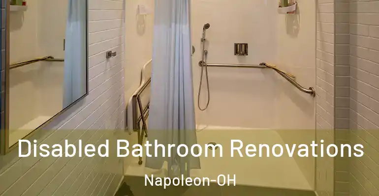 inner Bathroom imggen Disabled Bathroom Renovations Napoleon-OH