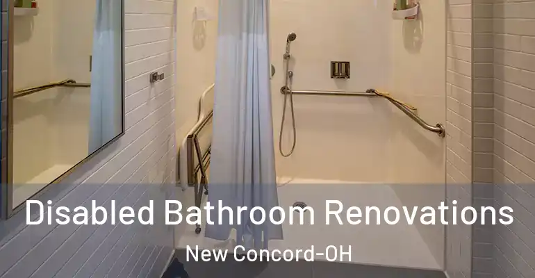 inner Bathroom imggen Disabled Bathroom Renovations New Concord-OH