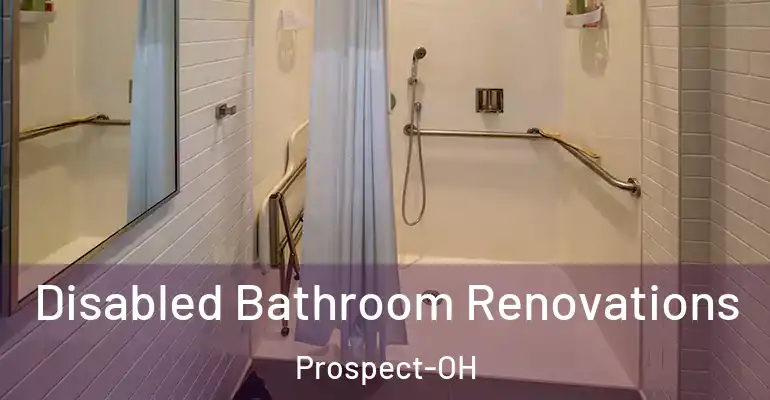 inner Bathroom imggen Disabled Bathroom Renovations Prospect-OH