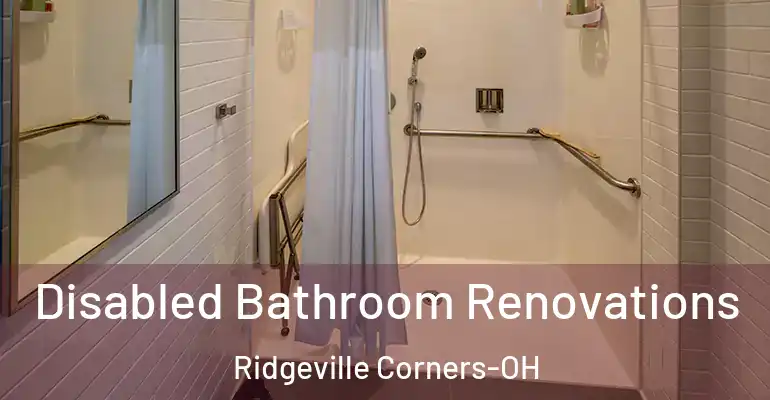 inner Bathroom imggen Disabled Bathroom Renovations Ridgeville Corners-OH