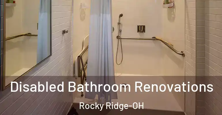 inner Bathroom imggen Disabled Bathroom Renovations Rocky Ridge-OH
