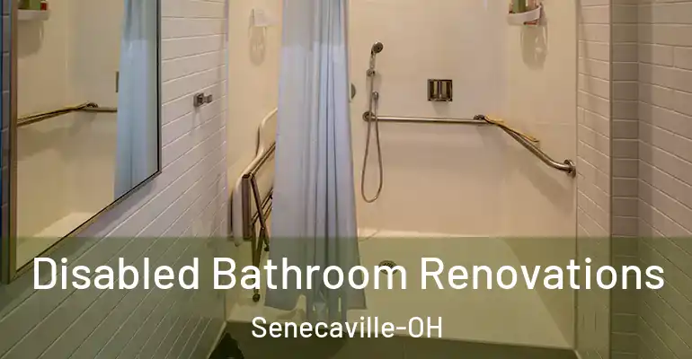 inner Bathroom imggen Disabled Bathroom Renovations Senecaville-OH