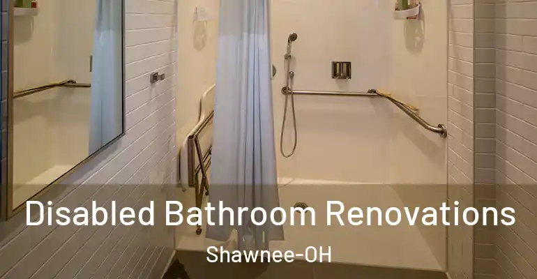 inner Bathroom imggen Disabled Bathroom Renovations Shawnee-OH