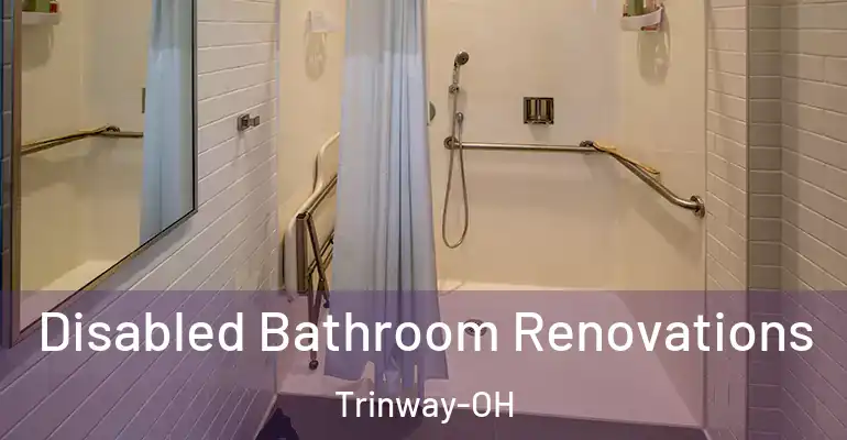 inner Bathroom imggen Disabled Bathroom Renovations Trinway-OH