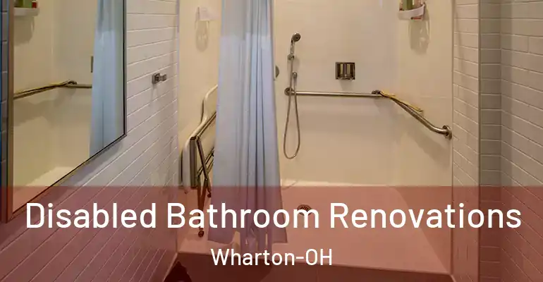 inner Bathroom imggen Disabled Bathroom Renovations Wharton-OH