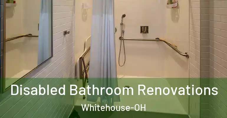inner Bathroom imggen Disabled Bathroom Renovations Whitehouse-OH