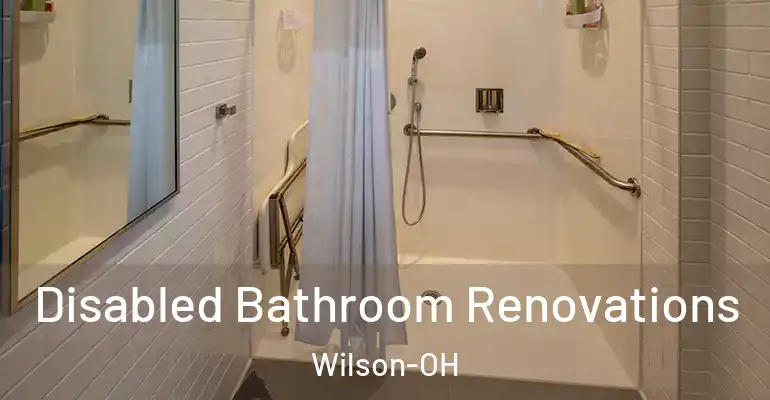 inner Bathroom imggen Disabled Bathroom Renovations Wilson-OH