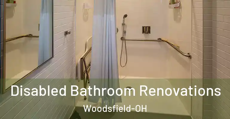 inner Bathroom imggen Disabled Bathroom Renovations Woodsfield-OH