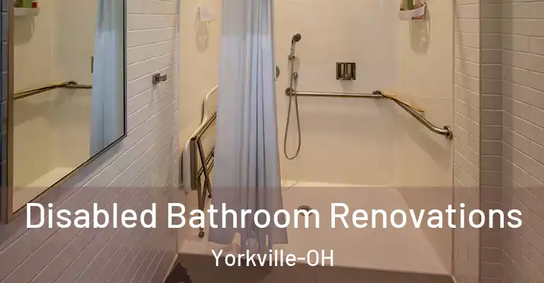 inner Bathroom imggen Disabled Bathroom Renovations Yorkville-OH