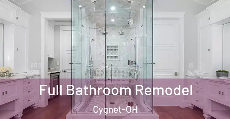 inner Bathroom imggen Full Bathroom Remodel Cygnet-OH