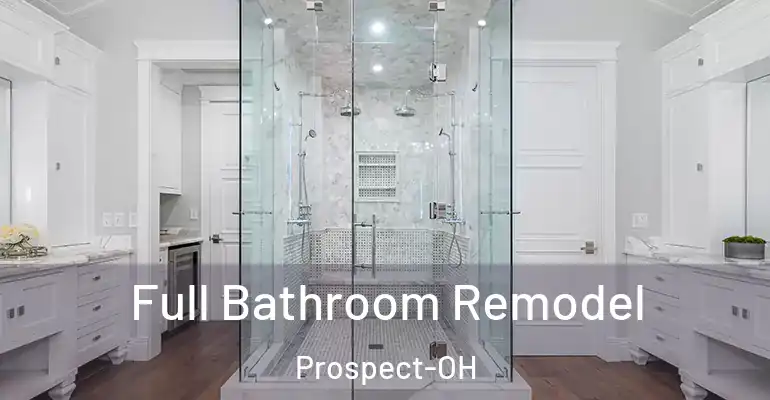 inner Bathroom imggen Full Bathroom Remodel Prospect-OH