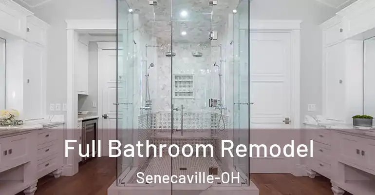 inner Bathroom imggen Full Bathroom Remodel Senecaville-OH