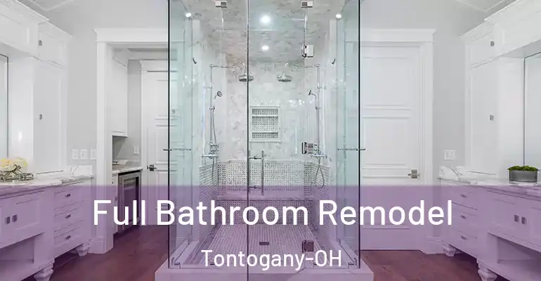 inner Bathroom imggen Full Bathroom Remodel Tontogany-OH