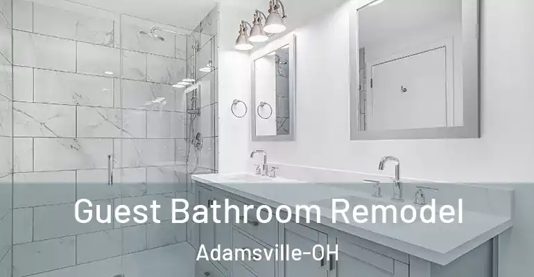 inner Bathroom imggen Guest Bathroom Remodel Adamsville-OH