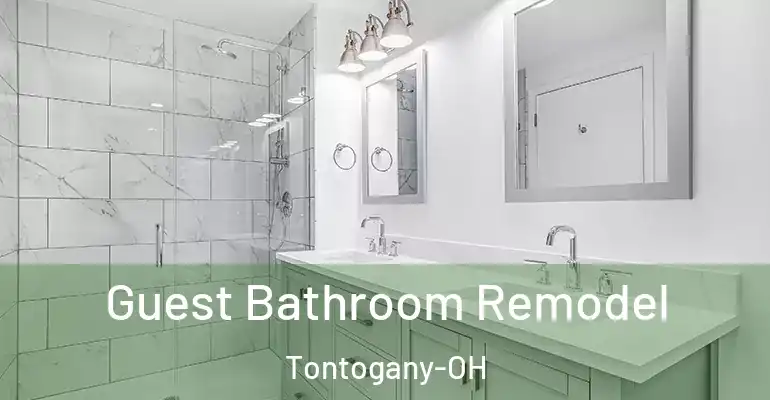 inner Bathroom imggen Guest Bathroom Remodel Tontogany-OH