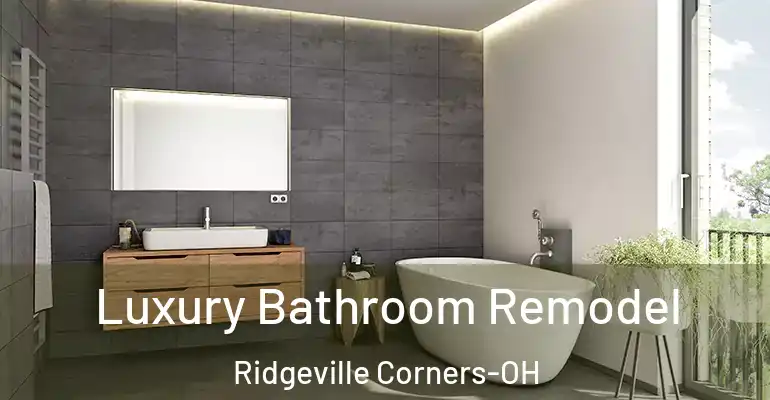inner Bathroom imggen Luxury Bathroom Remodel Ridgeville Corners-OH