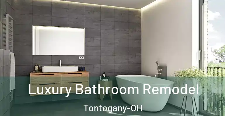 inner Bathroom imggen Luxury Bathroom Remodel Tontogany-OH