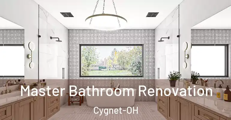 inner Bathroom imggen Master Bathroom Renovation Cygnet-OH