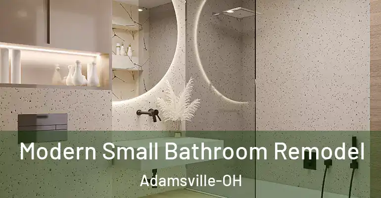 inner Bathroom imggen Modern Small Bathroom Remodel Adamsville-OH