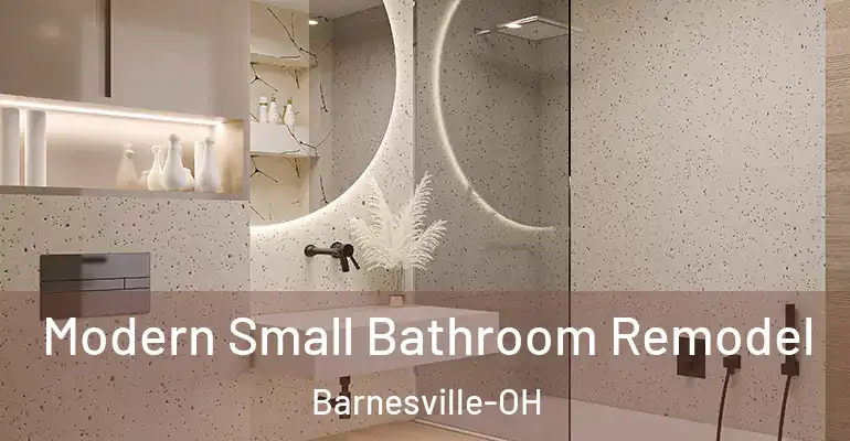 inner Bathroom imggen Modern Small Bathroom Remodel Barnesville-OH