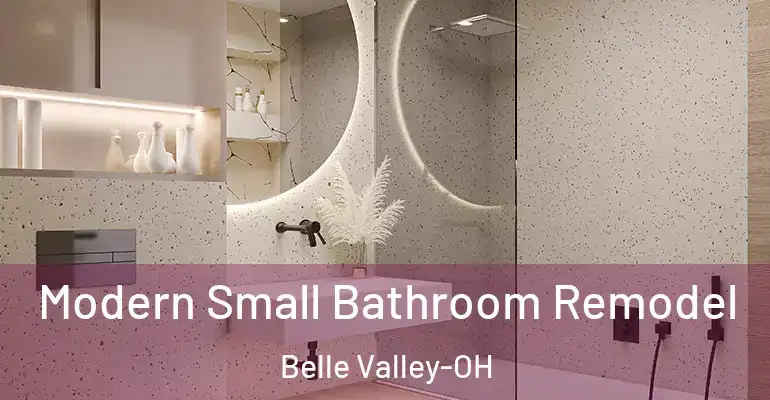inner Bathroom imggen Modern Small Bathroom Remodel Belle Valley-OH