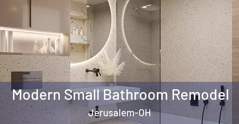 inner Bathroom imggen Modern Small Bathroom Remodel Jerusalem-OH