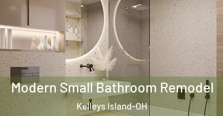 inner Bathroom imggen Modern Small Bathroom Remodel Kelleys Island-OH