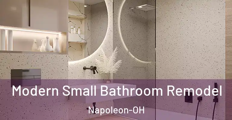 inner Bathroom imggen Modern Small Bathroom Remodel Napoleon-OH