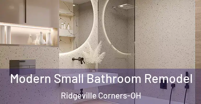 inner Bathroom imggen Modern Small Bathroom Remodel Ridgeville Corners-OH