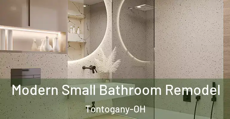 inner Bathroom imggen Modern Small Bathroom Remodel Tontogany-OH