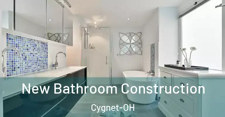inner Bathroom imggen New Bathroom Construction Cygnet-OH